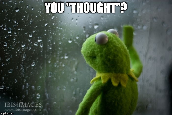 kermit window | YOU "THOUGHT"? | image tagged in kermit window | made w/ Imgflip meme maker