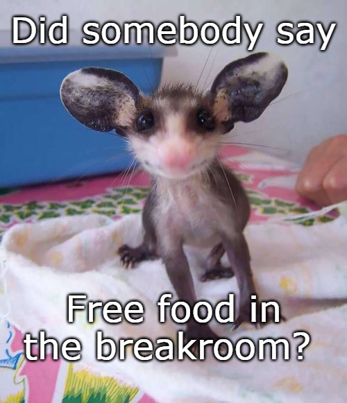 Did somebody say; Free food in the breakroom? | image tagged in breakroom,free food,break time,medical humor,food | made w/ Imgflip meme maker
