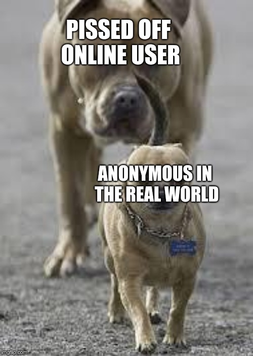You can find them anywhere | PISSED OFF ONLINE USER; ANONYMOUS IN THE REAL WORLD | image tagged in big dog little dog,memes,anonymous,real world | made w/ Imgflip meme maker