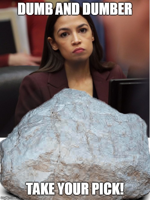 Dumb and Dumber. AOC vs a rock. Too close to call. | DUMB AND DUMBER; TAKE YOUR PICK! | image tagged in aoc,aoc is dumb,politics,memes | made w/ Imgflip meme maker