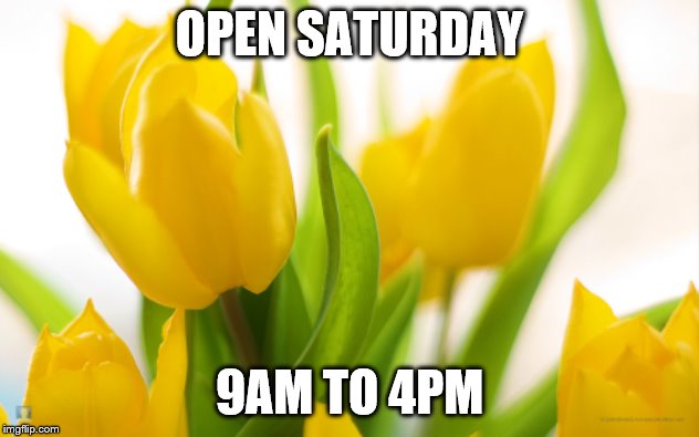 Spring Flowers | OPEN SATURDAY; 9AM TO 4PM | image tagged in spring flowers | made w/ Imgflip meme maker