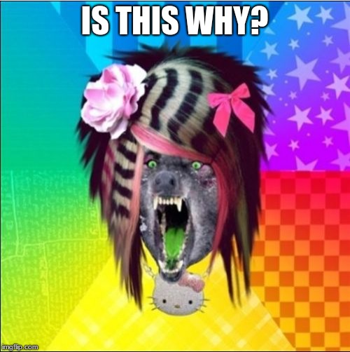 Scene Wolf Meme | IS THIS WHY? | image tagged in memes,scene wolf | made w/ Imgflip meme maker