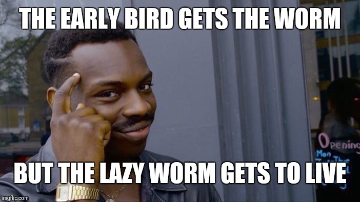 Roll Safe Think About It Meme | THE EARLY BIRD GETS THE WORM BUT THE LAZY WORM GETS TO LIVE | image tagged in memes,roll safe think about it | made w/ Imgflip meme maker