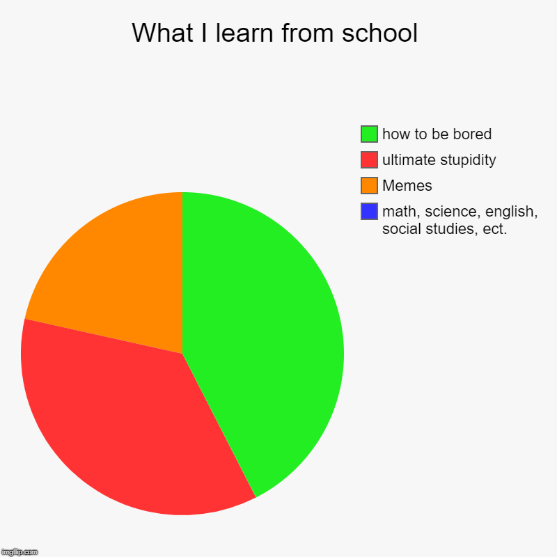 What i learn from middle school | What I learn from school | math, science, english, social studies, ect., Memes, ultimate stupidity, how to be bored | image tagged in pie charts,school,middle school | made w/ Imgflip chart maker