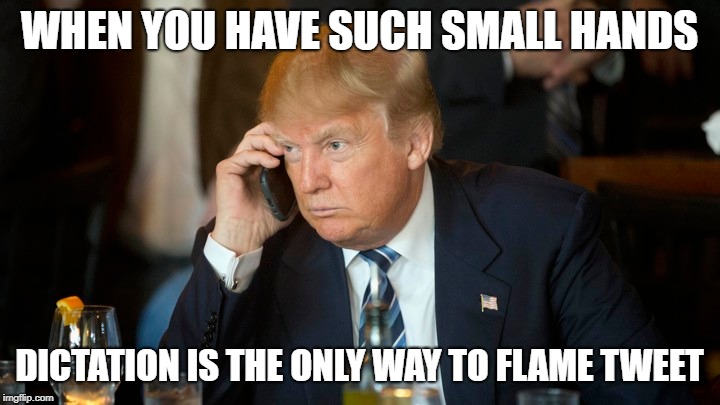 Trump tweets by dictation | WHEN YOU HAVE SUCH SMALL HANDS; DICTATION IS THE ONLY WAY TO FLAME TWEET | image tagged in make america funny again,not maga,liberals vs conservatives | made w/ Imgflip meme maker