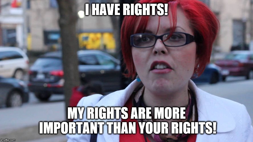 Feminazi | I HAVE RIGHTS! MY RIGHTS ARE MORE IMPORTANT THAN YOUR RIGHTS! | image tagged in feminazi | made w/ Imgflip meme maker
