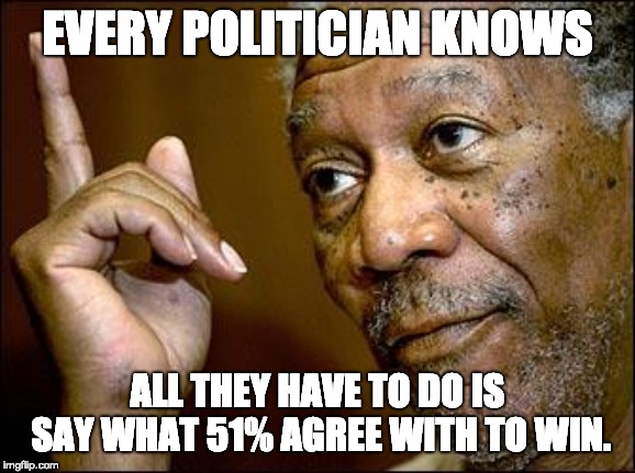 This Morgan Freeman | EVERY POLITICIAN KNOWS ALL THEY HAVE TO DO IS SAY WHAT 51% AGREE WITH TO WIN. | image tagged in this morgan freeman | made w/ Imgflip meme maker