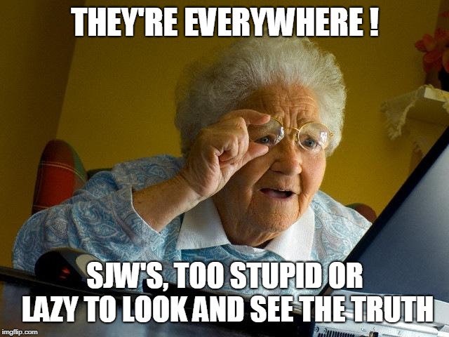 Grandma Finds The Internet | THEY'RE EVERYWHERE ! SJW'S, TOO STUPID OR LAZY TO LOOK AND SEE THE TRUTH | image tagged in memes,grandma finds the internet | made w/ Imgflip meme maker