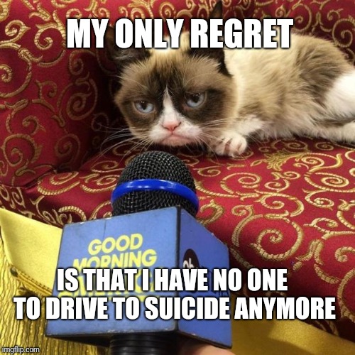 grumpy cat news | IS THAT I HAVE NO ONE TO DRIVE TO SUICIDE ANYMORE MY ONLY REGRET | image tagged in grumpy cat news | made w/ Imgflip meme maker