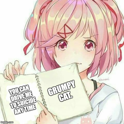 Natsuki's Book Of Truth | YOU CAN DRIVE ME TO SUICIDE ANY TIME GRUMPY CAT. | image tagged in natsuki's book of truth | made w/ Imgflip meme maker