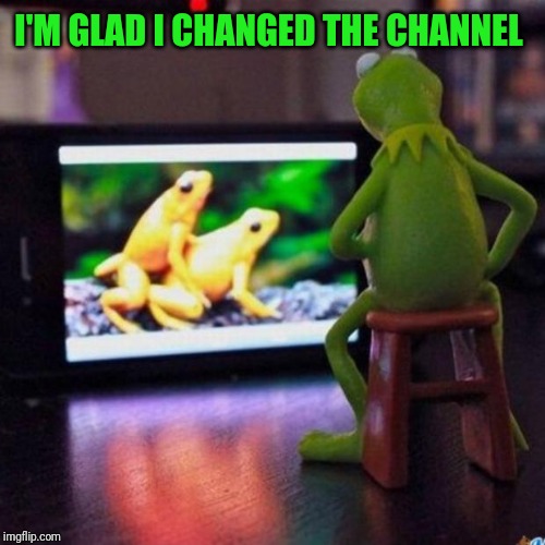 kermit tv | I'M GLAD I CHANGED THE CHANNEL | image tagged in kermit tv | made w/ Imgflip meme maker
