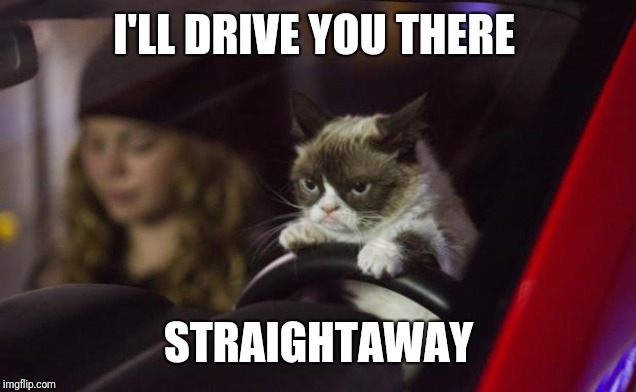 Grumpy Cat Driving | I'LL DRIVE YOU THERE STRAIGHTAWAY | image tagged in grumpy cat driving | made w/ Imgflip meme maker