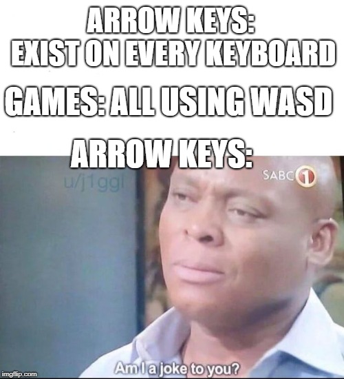 Arrow Keys : r/memes