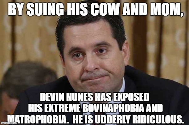 The Devin You Say! | BY SUING HIS COW AND MOM, DEVIN NUNES HAS EXPOSED HIS EXTREME BOVINAPHOBIA AND MATROPHOBIA.  HE IS UDDERLY RIDICULOUS. | image tagged in politics lol | made w/ Imgflip meme maker