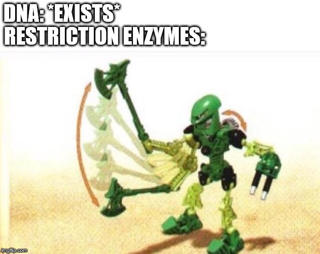 Bionicle | DNA: *EXISTS*; RESTRICTION ENZYMES: | image tagged in bionicle | made w/ Imgflip meme maker