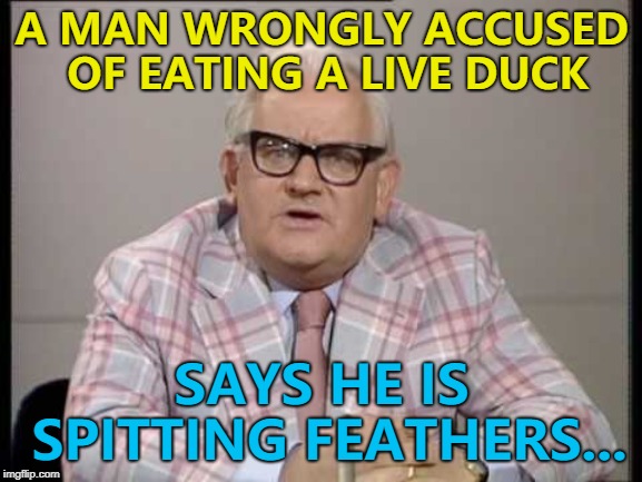 So was the real criminal... :) | A MAN WRONGLY ACCUSED OF EATING A LIVE DUCK; SAYS HE IS SPITTING FEATHERS... | image tagged in ronnie barker news,memes,ducks,animals,crime | made w/ Imgflip meme maker