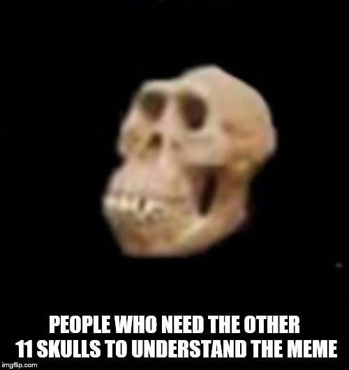 PEOPLE WHO NEED THE OTHER 11 SKULLS TO UNDERSTAND THE MEME | image tagged in skulls | made w/ Imgflip meme maker
