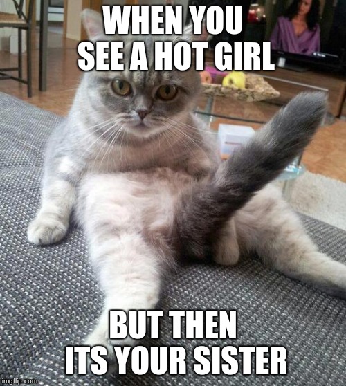 Sexy Cat Meme | WHEN YOU SEE A HOT GIRL; BUT THEN ITS YOUR SISTER | image tagged in memes,sexy cat | made w/ Imgflip meme maker