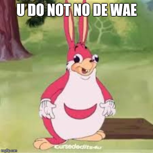 Ugandan chungles | U DO NOT NO DE WAE | image tagged in ugandan chungles | made w/ Imgflip meme maker