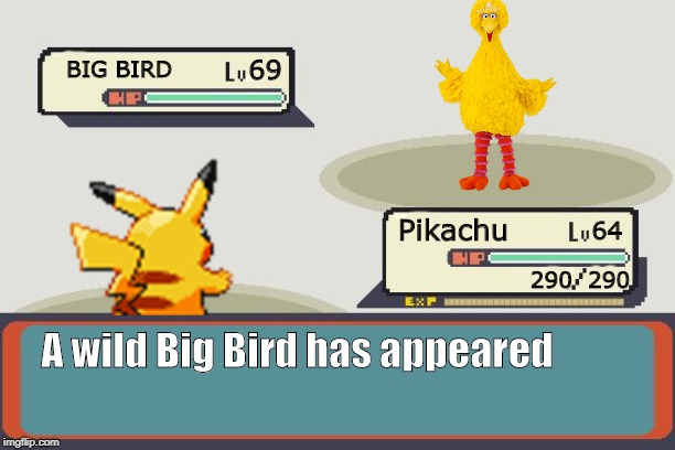 Pokemon Battle | BIG BIRD A wild Big Bird has appeared Pikachu 64 69 290  290 | image tagged in pokemon battle | made w/ Imgflip meme maker