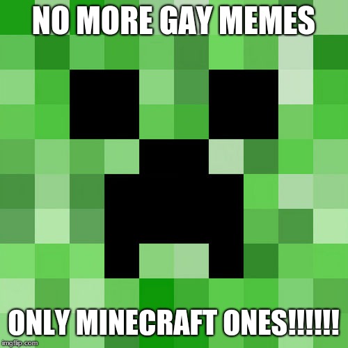 Scumbag Minecraft Meme | NO MORE GAY MEMES ONLY MINECRAFT ONES!!!!!! | image tagged in memes,scumbag minecraft | made w/ Imgflip meme maker