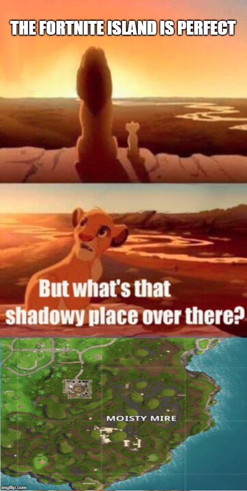 Simba Shadowy Place | THE FORTNITE ISLAND IS PERFECT | image tagged in memes,simba shadowy place | made w/ Imgflip meme maker