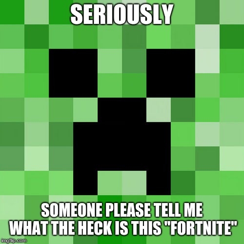 Scumbag Minecraft Meme | SERIOUSLY SOMEONE PLEASE TELL ME WHAT THE HECK IS THIS "FORTNITE" | image tagged in memes,scumbag minecraft | made w/ Imgflip meme maker