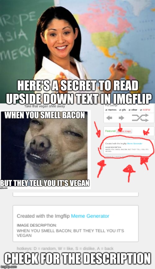 Here's a way for people who can't read it upside down or in other ways sadly it doesn't apply to comments (Weekly lessons ep 7) |  HERE'S A SECRET TO READ UPSIDE DOWN TEXT IN IMGFLIP; CHECK FOR THE DESCRIPTION | image tagged in memes,unhelpful high school teacher,skeptical chihuahua,dj's lessons | made w/ Imgflip meme maker