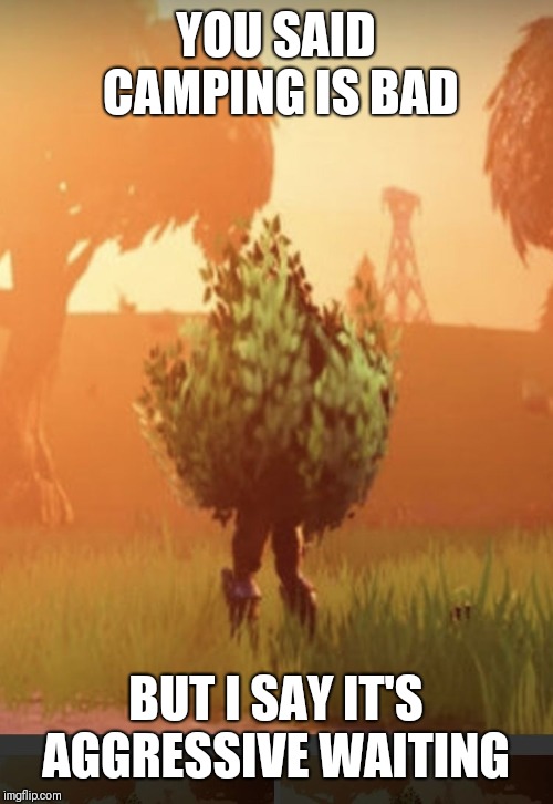Fortnite bush | YOU SAID CAMPING IS BAD; BUT I SAY IT'S AGGRESSIVE WAITING | image tagged in fortnite bush | made w/ Imgflip meme maker