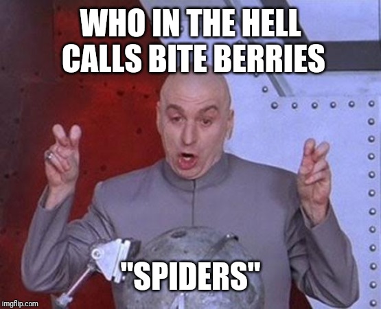 Dr Evil Laser Meme | WHO IN THE HELL CALLS BITE BERRIES; "SPIDERS" | image tagged in memes,dr evil laser | made w/ Imgflip meme maker