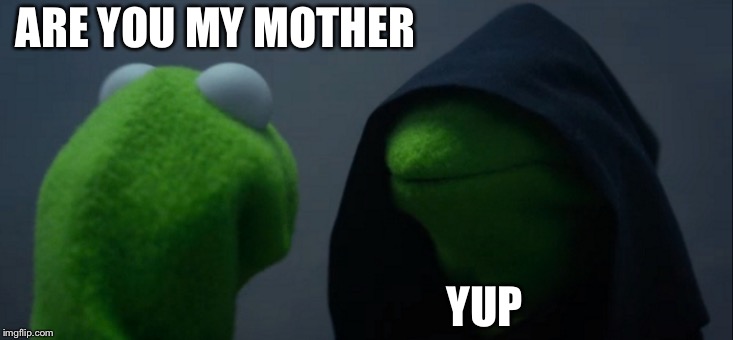 Evil Kermit Meme | ARE YOU
MY MOTHER; YUP | image tagged in memes,evil kermit | made w/ Imgflip meme maker