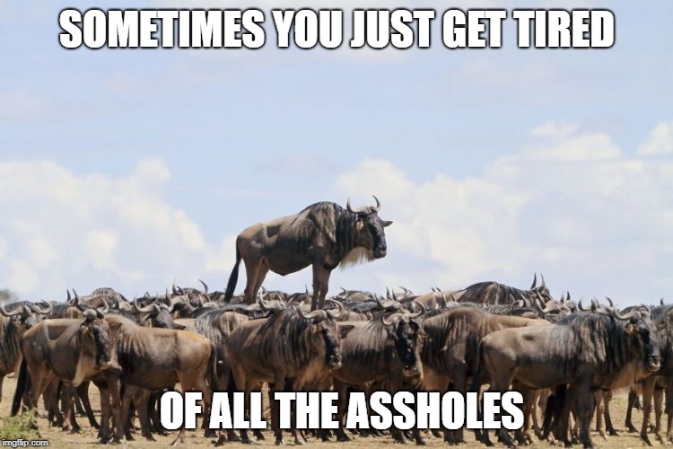 tired of assholes | SOMETIMES YOU JUST GET TIRED; OF ALL THE ASSHOLES | image tagged in asshole,tired,work | made w/ Imgflip meme maker