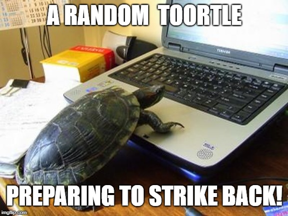 Turtle Computer | A RANDOM  TOORTLE; PREPARING TO STRIKE BACK! | image tagged in turtle computer | made w/ Imgflip meme maker