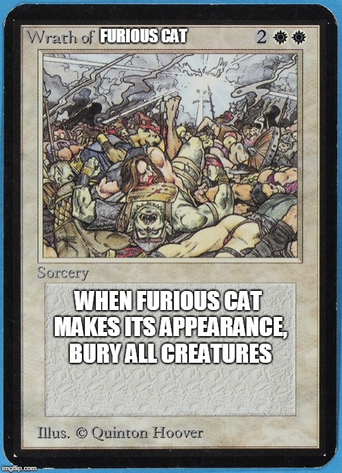 tw Magic The Gathering wrath of blank | FURIOUS CAT WHEN FURIOUS CAT MAKES ITS APPEARANCE, BURY ALL CREATURES | image tagged in tw magic the gathering wrath of blank | made w/ Imgflip meme maker