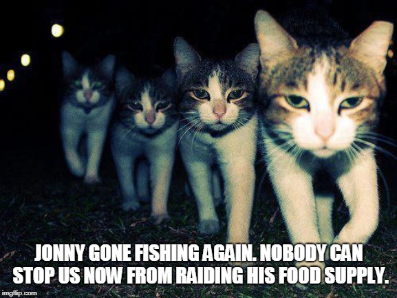 Wrong Neighboorhood Cats | JONNY GONE FISHING AGAIN. NOBODY CAN STOP US NOW FROM RAIDING HIS FOOD SUPPLY. | image tagged in memes,wrong neighboorhood cats | made w/ Imgflip meme maker