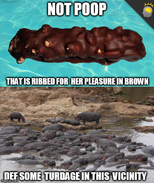 NOT POOP THAT IS RIBBED FOR  HER PLEASURE IN BROWN DEF SOME  TURDAGE IN THIS  VICINITY | made w/ Imgflip meme maker