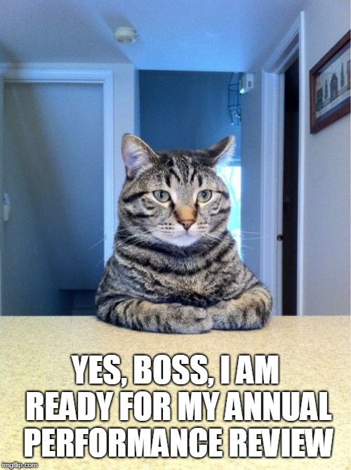 Take A Seat Cat Meme | YES, BOSS, I AM READY FOR MY ANNUAL PERFORMANCE REVIEW | image tagged in memes,take a seat cat | made w/ Imgflip meme maker