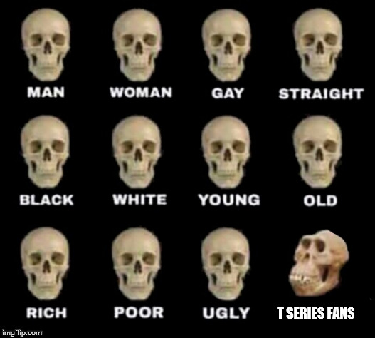 idiot skull | T SERIES FANS | image tagged in idiot skull | made w/ Imgflip meme maker