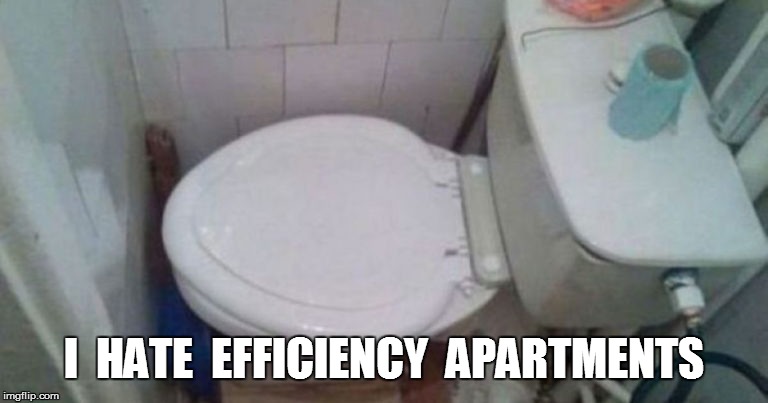 BE IE EVER SO HUMBLE... | I  HATE  EFFICIENCY  APARTMENTS | image tagged in but thats none of my business | made w/ Imgflip meme maker
