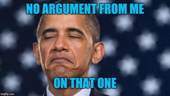"Seems Legit" Obama | NO ARGUMENT FROM ME ON THAT ONE | image tagged in seems legit obama | made w/ Imgflip meme maker