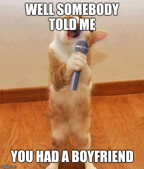 Happy birthday day  Maureeeennn from the singing cat!  | WELL SOMEBODY TOLD ME YOU HAD A BOYFRIEND | image tagged in happy birthday day maureeeennn from the singing cat | made w/ Imgflip meme maker