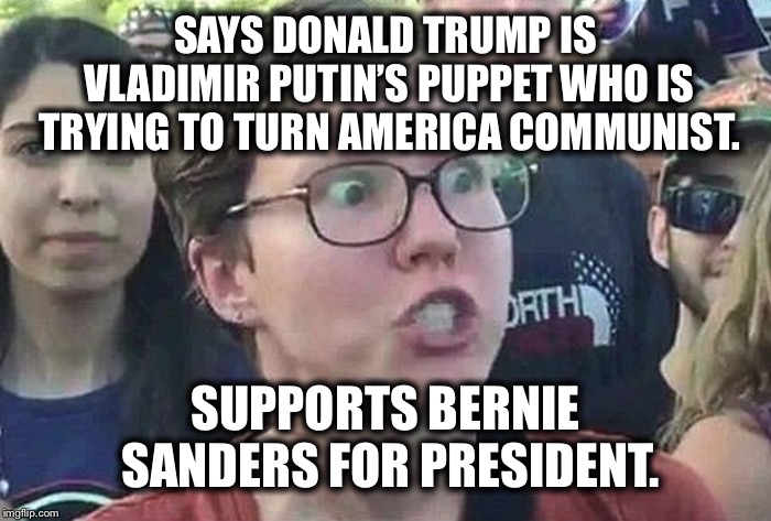 Triggered Liberal | SAYS DONALD TRUMP IS VLADIMIR PUTIN’S PUPPET WHO IS TRYING TO TURN AMERICA COMMUNIST. SUPPORTS BERNIE SANDERS FOR PRESIDENT. | image tagged in triggered liberal,liberal logic,trump russia collusion,bernie sanders,stupid liberals | made w/ Imgflip meme maker