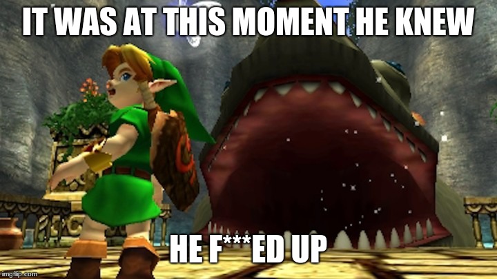 IT WAS AT THIS MOMENT HE KNEW; HE F***ED UP | image tagged in gaming,zelda | made w/ Imgflip meme maker