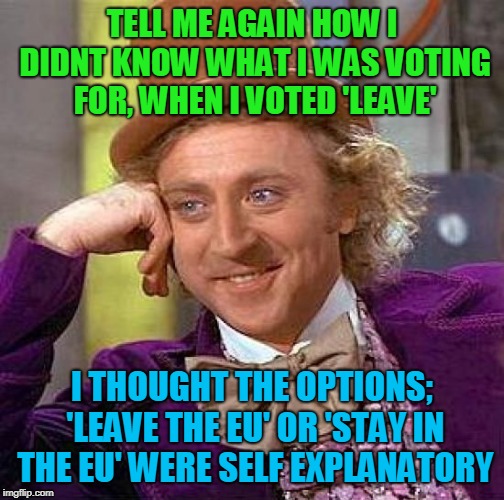 Creepy Condescending Wonka | TELL ME AGAIN HOW I DIDNT KNOW WHAT I WAS VOTING FOR, WHEN I VOTED 'LEAVE'; I THOUGHT THE OPTIONS; 'LEAVE THE EU' OR 'STAY IN THE EU' WERE SELF EXPLANATORY | image tagged in memes,creepy condescending wonka | made w/ Imgflip meme maker