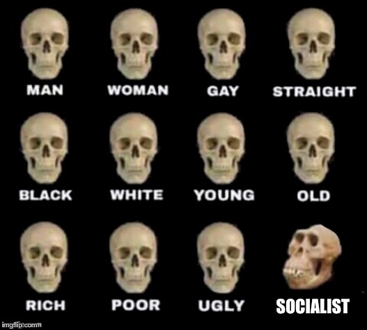 No caption needed | SOCIALIST | image tagged in idiot skull | made w/ Imgflip meme maker