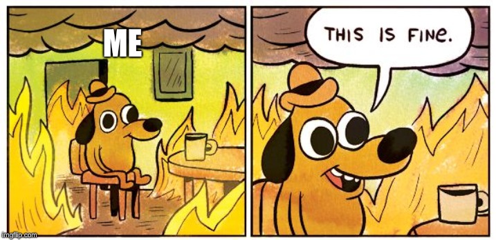 This Is Fine | ME | image tagged in this is fine dog | made w/ Imgflip meme maker