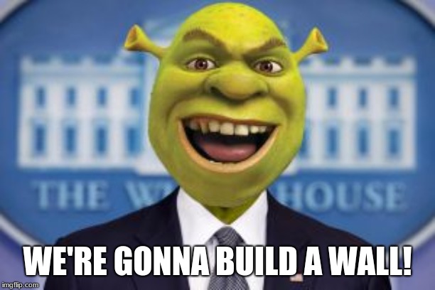 WE'RE GONNA BUILD A WALL! | image tagged in shrek | made w/ Imgflip meme maker