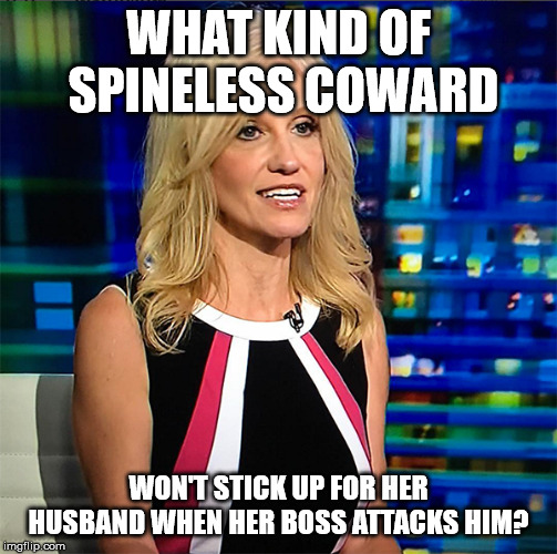 Kellyanne Conway | WHAT KIND OF SPINELESS COWARD; WON'T STICK UP FOR HER HUSBAND WHEN HER BOSS ATTACKS HIM? | image tagged in kellyanne conway | made w/ Imgflip meme maker