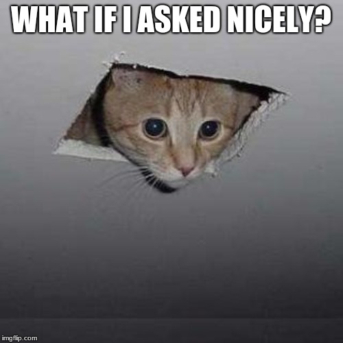 Ceiling Cat Meme | WHAT IF I ASKED NICELY? | image tagged in memes,ceiling cat | made w/ Imgflip meme maker