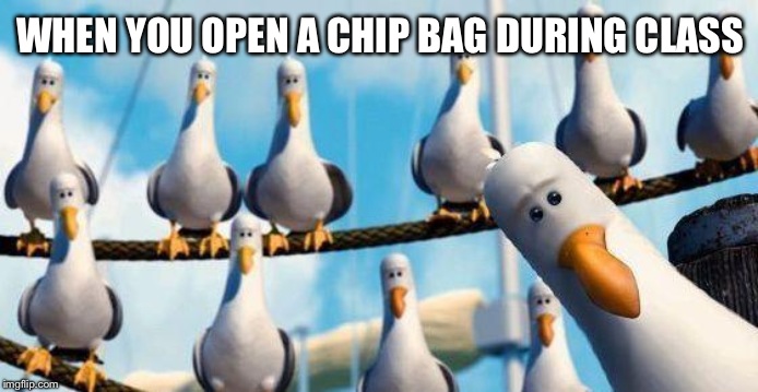 Nemo Birds | WHEN YOU OPEN A CHIP BAG DURING CLASS | image tagged in nemo birds | made w/ Imgflip meme maker